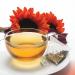 Revolution Tea Dragon Eye Oolong - Premium 20 Ct Tea Bags for International Shipping - Buy Online on GoSupps.com