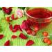 Organic Unrefined Virgin Rosehip Oil 4oz - 100% Pure Cold-Pressed Heals Skin Issues Imported from Chile - Buy Online on GoSupps.com