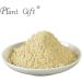 Plant Gift (2UK-PO0071) - Buy Online on GoSupps.com