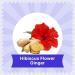 BLUE TEA - Hibiscus Ginger Herbal Tea - 60 Tea Bags || CAFFEINE FREE || Hibiscus - Ginger | Detox - Soothing | Vegan - Gluten Free - Non-GMO | Eco-Conscious Ziplock Pouch - Buy Online on GoSupps.com