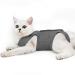 HEYWEAN Cat Surgery Recovery Collar for Abdonminal Wounds Protection, Skin Diseases, E-Collar Alternative Cat Onesie Prevent Licking and Scratching, After Surgery Wear Pajama Suit Large Dark Grey