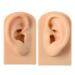 KTROK 1set Silicone Acupuncture Ear Model Simulation Artificial Ear Model Reused Ear Displays Mould for Science Class Anatomic Office Science Study Skin Tone