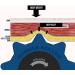 RumbleRoller Textured Foam Roller - Soft Tissue Manipulation Like a Massage Therapist - Buy Online on GoSupps.com