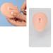 3D Silicone Belly Navel Model - Reusable Soft Elastic Abdominal Piercing Exercise Display (Light Skin) - Ideal for International Shipping - Buy Online on GoSupps.com