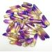50g Electroplated Purple and Yellow Titanium Aura Lemurian Seed Quartz Crystal Stones Natural Stones and Crystals - (Size: 50 Grams(4-6pcs)) Full of Texture - Buy Online on GoSupps.com
