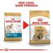 ROYAL CANIN Shihtzu Adult 1.5 kg + 1 can of wet food - Buy Online on GoSupps.com