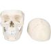 Life Size Human Head Skull Anatomical Model Upgraded Removable Human Adult Skull Head Bone Mold Anatomical Replica for Student Study Course Educational Study - Buy Online on GoSupps.com