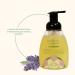 Herb N Eden Lavender Foaming Hand Soap | Moisturizing Gentle Hand Wash | 100% Pure Ingredients & Essential Oils | Perfect for Dry Skin | 8 oz - Buy Online on GoSupps.com
