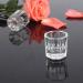 2 Pack Clear Glass Dappen Dish Cups for Nail Art Acrylic Liquid - Acrylic Powder & Monomer Holder - Buy Online on GoSupps.com