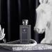 Merve Night Duke Premium Long Lasting Fragrance Luxury Scent For Men | Citrus Musk Amber - Buy Online on GoSupps.com