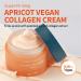Goodal Apricot Vegan Collagen Cream | Anti-Aging Firming Nourishing Cream for All Skin Types - Buy Online on GoSupps.com