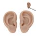 Soft Silicone Ear Model for Jewelry Display & Piercing Practice | Realistic Artificial Earring Presentation - Buy Online on GoSupps.com