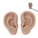 Silicone Ear Model Artificial Ear Model Silicone Human Ear Model Silicone Flexible Ear Model Soft Silicone Ear Model Ear Model (Color : Dark Skin Color)