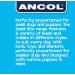 Ancol Small Bite Stars Collar & Lead Set - Blue (20-30 cm) | 1m x 10mm - Buy Online on GoSupps.com