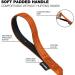 Loutep 5m Dog Training Leash - Durable Nylon Long Leash with Padded Handle & Heavy Duty Swivel Hook - Orange - Buy Online on GoSupps.com