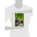 Greenmax Black Bean Powder 10.5 Oz - Organic Superfood Drink Mix (1 Pack) - Buy Online on GoSupps.com