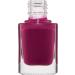 Collection Cosmetics Long Lasting Spotlight Shine Nail Polish Colour 10.5ml Raspberry Jam Raspberry Jam 10.5 ml (Pack of 1) - Buy Online on GoSupps.com