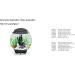 Biorb 46055 Plants Set Gr n S - 2-Piece Artificial Plant Set for Freshwater & Seawater Aquariums | Enhance Your Aquarium Decor - Buy Online on GoSupps.com