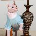 Rayminsino Hairless Cat Clothing - XS Blue for Sphynx Kittens | Highly Elastic & Comfortable Home Wear - Buy Online on GoSupps.com