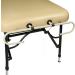 Master Massage Paper Roll Holder - Black | For Massage Tables | Easy to Install - Buy Online on GoSupps.com