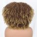 Nnzes Afro Short Curly Wig - Brown to Blonde Kinky Curly Fluffy Wig for Black Women 12inch - Synthetic Hair Full Wigs for Daily Wear - Buy Online on GoSupps.com
