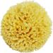 YUSSEQDD Multi-Functional Greek Sponge Wide Application Easy to Clean Natural Sea Sponges for Bathing Natural Greek Sponge - Buy Online on GoSupps.com