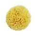 AUklOPVZZ Greek Sponge for Bathing Soft and Durable for Long Time Natural Sea Sponges for Bathing Honeycombs Natural Sea Sponge