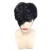 Lovel conductor black short -haired wigs. Short straight synthetic hair full wigs for women natural looking warm wig half wigs