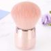 Verdant Touch Powder Brush Round Head Blush Brush Powder Brush Makeup Tool - Buy Online on GoSupps.com
