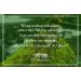 Organic Sulphur Soap Bar - Handmade Vegan Soap for Acne | Antibacterial & Chemical-Free - Buy Online on GoSupps.com