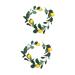 TOPBATHY Hanging Vine Fruit Garland Toys 2 Pcs Simulation Lemon Rattan Food Plastic Fake Plant Lemon Berry Vine Green Toys Yellowx2pcs 100x10cmx2pcs