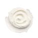 Whish Replenishing Day Cream with Bakuchiol | Retinol Alternative Face Moisturizer - Firming & Hydrating - Natural Ingredients - Paraben & Sulfate Free - 1 fl oz - Buy Online on GoSupps.com