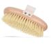 Tropical Ambience Body Brush 100% Natural Vegan Agave Sisal Bristles for Dry Skin Brushing  Exfoliate Dead Skin  Detox  Stimulate Circulation