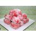 Festival Special Premium (Pink Chum Chum 300g) Delicious Indian Traditional Sweets To Sweeten Up Your Celebration Best Gift For All Occasions Marriage Diwali Holi Sold By Kidzbuzz - Buy Online on GoSupps.com