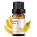GREENSLEEVES Banana Essential Oil 10ml 100% Pure Organic Banana Scent Aromatherapy Diffuser Oils 10ml(Banana)