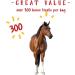 Manna Pro Apple Flavored Horse Treats - Bite-Sized, 4 lbs | Premium Equine Snacks - Buy Online on GoSupps.com