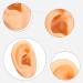 Realistic Silicone Left Ear Model for Ear Picking Piercing & Acupuncture - Human Ear Simulation for Training - Buy Online on GoSupps.com