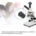 10X Microscope Eyepiece Accessories for Biological Microscopes - Lens Adapters Included - Buy Online on GoSupps.com