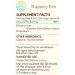 Slippery Elm B60 Tincture - Alcohol-Free Herbal Extract 2 fl oz | Natural Ulmus Rubra Drops for Digestive Health - Buy Online on GoSupps.com