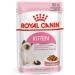 ROYAL CANIN Kitten in Gravy Wet Food 85g (Pack of 48) * Multipack * Meat 48 count (Pack of 1) - Buy Online on GoSupps.com