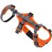Safety Harness Maldon Orange/Grey - XS-S Size | Durable & Comfortable | Ideal for Outdoor Use - Buy Online on GoSupps.com
