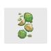x 'Artichoke' Microfiber Lens/Eyeglass Cleaning Cloths (LC00022120)