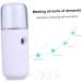 BELLIFFY 2pcs Skin Moistener Mini Aromatherapy Diffuser Air Humidifier Daily Use Humidifier Mist Sprayer - Buy Online on GoSupps.com