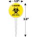 GRAPHICS & MORE Biohazard Quarantine and Chill Cupcake Picks Toppers Decoration Set of 6 - Buy Online on GoSupps.com
