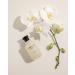 Michael Malul Vanilla + Cr me Eau de Parfum Gift Set - 100ml | 10ml Michael Malul Vanilla + Cr me 4PC Gift Set - Buy Online on GoSupps.com