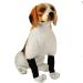 2PCS Dog Leg Brace Dogs foreleg/Rear Legs Surgical Injury Wound Protector Hock Joint Wraps Kneecap for Injuries Sprains Arthritis (Black M) - Buy Online on GoSupps.com