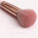 Shop Pink Makeup Brush Set - Powder Eyeshadow Eyeliner & More | International Shipping Available - Buy Online on GoSupps.com