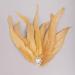 Handmade 1920s Champagne Fascinator - Feather Flapper Hair Accessories with Crystal Beads for Parties - Buy Online on GoSupps.com