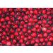 high uric acid foods - URIC ACID - high uric acid symptoms high uric acid causes cranberry supplement cranberry pills for women cranberry extract cranberry supplement for men pomegranate 2 Bot - Buy Online on GoSupps.com