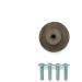 PLT Dinosaur Handles for Children's Furniture - Walnut Knobs & Buttons (4 Pack: Brachiosaurus Triceratops Tyrannosaurus Stegosaurus) - Unique Gift Idea - Buy Online on GoSupps.com